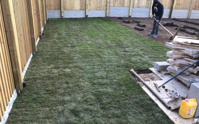 Garden Landscaping Tips for Homeowners in North London